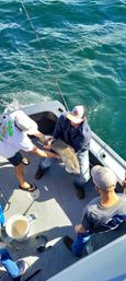 Three anglers on a small fishing boat holding a large catch over turquoise offshore waters, fishing rod, bucket, and boat deck visible