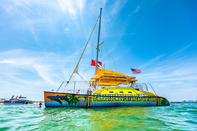 Yellow catamaran tour boat with dolphin mural and flags anchored in clear turquoise tropical water near a sandy shore under a bright blue sky.