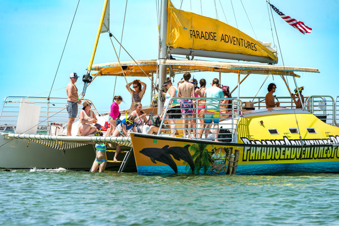 Vibrant yellow catamaran tour with dolphin mural and sun canopy, families and swimmers in colorful swimwear boarding and relaxing on deck during a sunny coastal boat excursion
