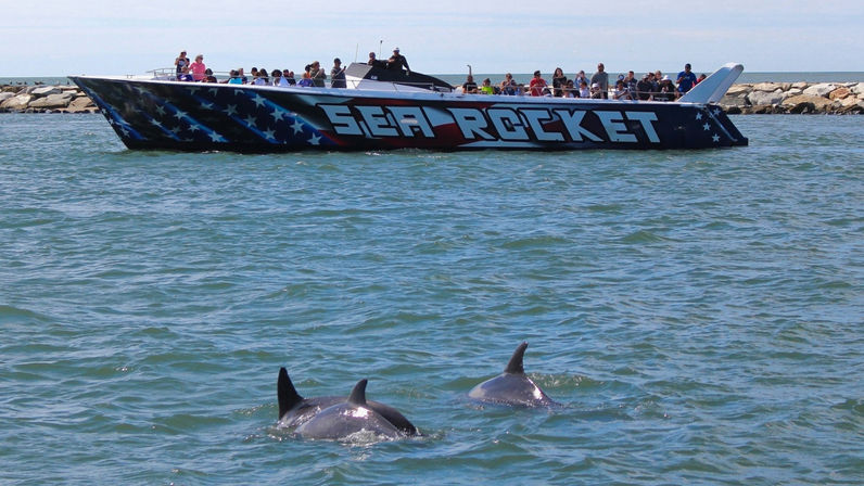 Ocean City Speed Boat & Dolphin Cruise image 6