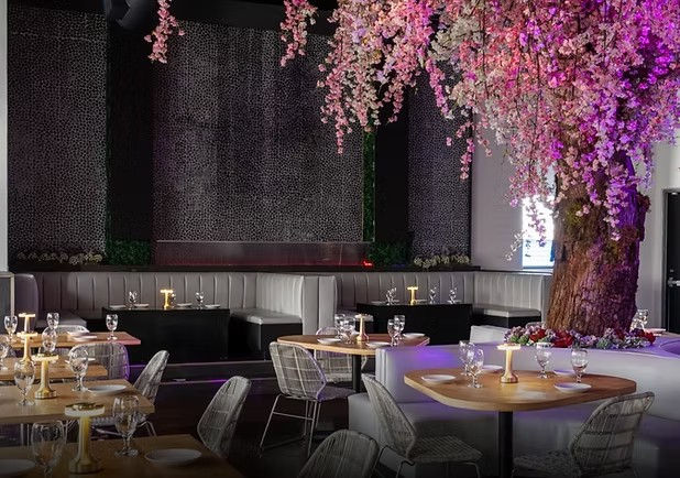 Fine-dining modern restaurant interior with a large pink cherry blossom tree centerpiece, curved banquettes, wooden tables set with glassware and warm purple lighting.