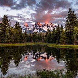 Alpenglow on snow-capped mountain peaks reflected in a mirrorlike pond, framed by dense pine forest at sunset.