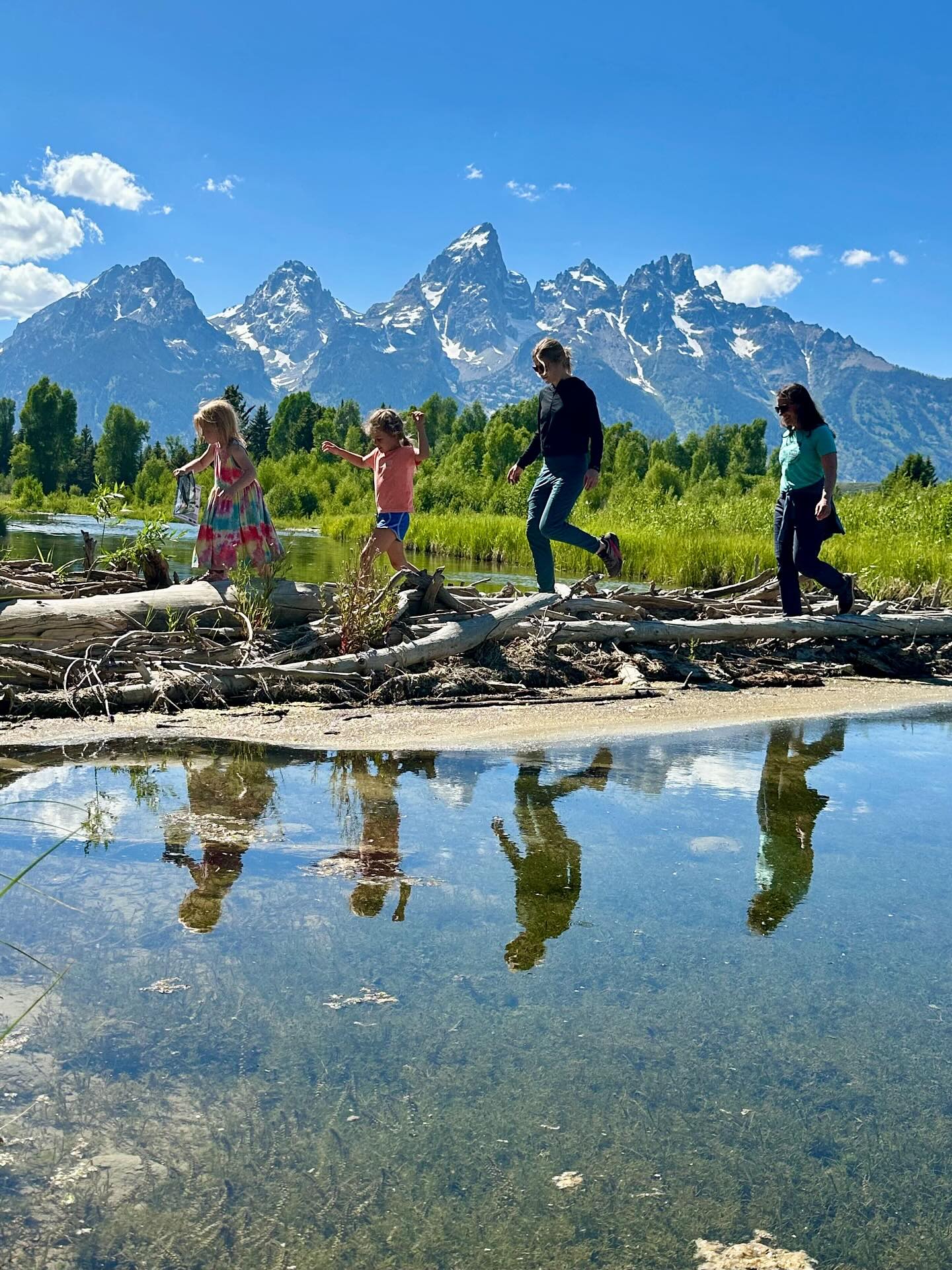 Group of four people balancing on driftwood along a calm river, their reflections in the water, grassy wetlands and snow-capped Grand Teton Range in Grand Teton National Park, Wyoming under a bright blue sky.