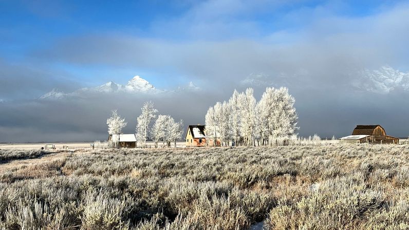 Scenic Safaris: Guided Winter Wildlife Tours in Jackson Hole image 7