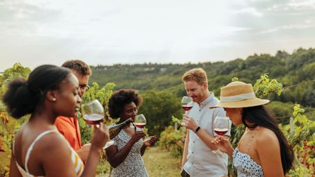Group of friends tasting red wine outdoors in a sunlit vineyard with rolling green hills