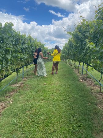 Three women strolling a sunlit vineyard row on a grassy path under a bright blue sky with puffy clouds — one wearing a yellow jacket and another in a green patterned dress.