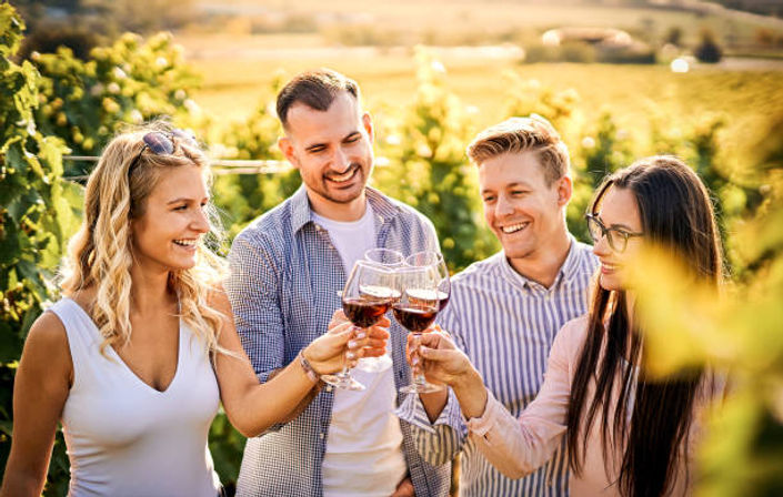 Four friends clinking glasses of red wine during a sunny outdoor vineyard wine tasting