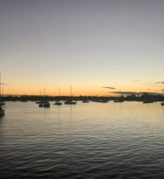Sunset over a calm coastal harbor with silhouetted sailboats and masts on a golden-orange horizon reflecting on rippling water