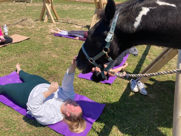 Horse Yoga on the Farm with Optional Hat Bar Experience image 39