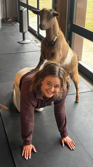 Smiling woman on a yoga mat during an indoor goat yoga session, a brown goat stands on her back near large glass doors