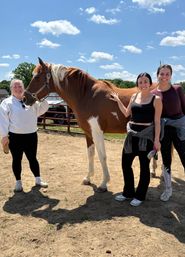 Horse Yoga on the Farm with Optional Hat Bar Experience image 24
