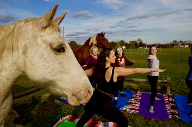 Group of women doing outdoor yoga on mats in a rural farm field with two horses nearby under a blue sky