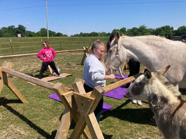 Horse Yoga on the Farm with Optional Hat Bar Experience image 34