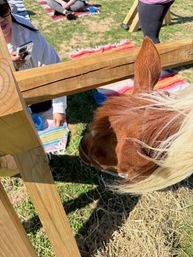 Horse Yoga on the Farm at Nashville Horse and Goat Yoga image 20