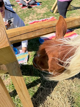 Horse Yoga on the Farm at Nashville Horse and Goat Yoga image 20