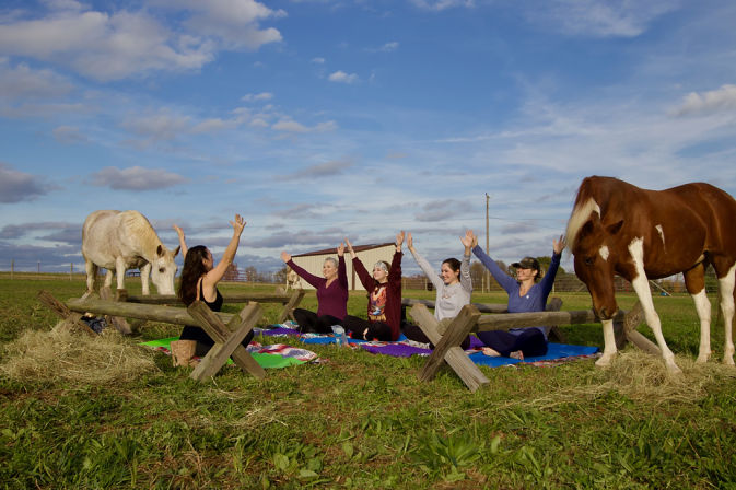 Five women practicing outdoor yoga on colorful mats in a rural farm pasture, arms raised between two grazing horses beneath a bright blue sky.