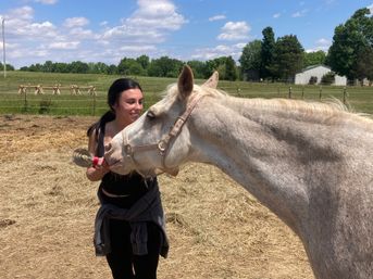 Horse Yoga on the Farm with Optional Hat Bar Experience image 25