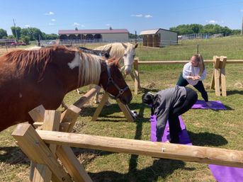 Horse Yoga on the Farm with Optional Hat Bar Experience image 35
