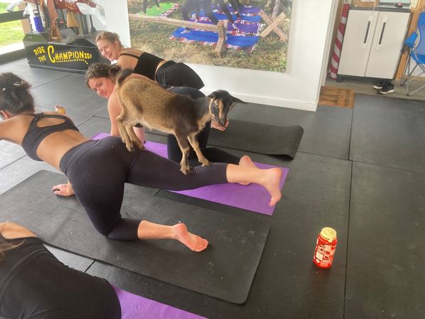 Goat Yoga Group Class on the Farm at Nashville Horse and Goat Yoga + Hat Bar Add-On image 79