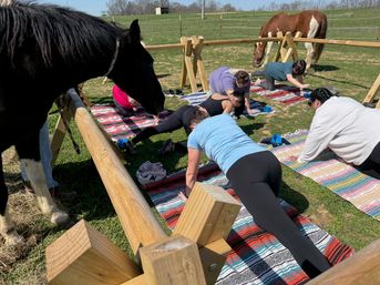 Horse Yoga on the Farm at Nashville Horse and Goat Yoga image 14