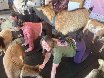 Goat Yoga Group Class on the Farm at Nashville Horse and Goat Yoga image 61