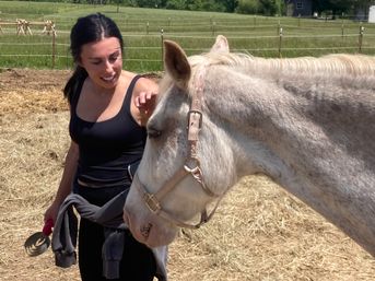Horse Yoga on the Farm with Optional Hat Bar Experience image 10
