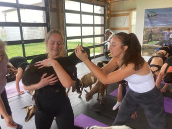 Goat Yoga Group Class on the Farm at Nashville Horse and Goat Yoga + Hat Bar Add-On image 54