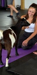 Goat Yoga Group Class on the Farm at Nashville Horse and Goat Yoga + Hat Bar Add-On image 9