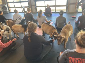 Goat Yoga Group Class on the Farm at Nashville Horse and Goat Yoga image 60