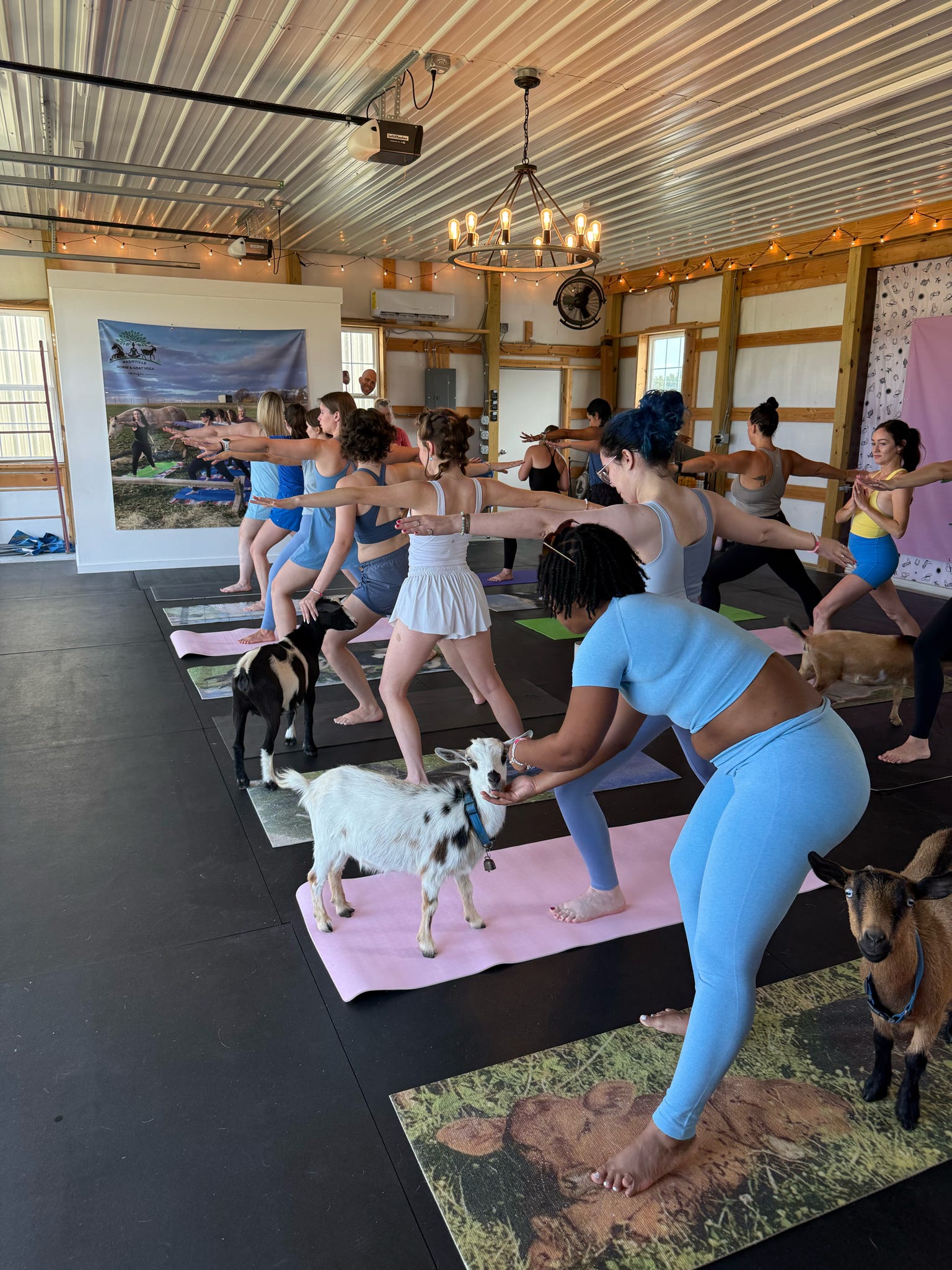 Goat yoga class in a barn-style indoor studio — participants in warrior pose on colorful mats while small goats roam between them under string lights and a metal ceiling.
