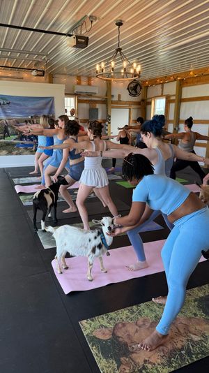Goat yoga class in a barn-style indoor studio — participants in warrior pose on colorful mats while small goats roam between them under string lights and a metal ceiling.
