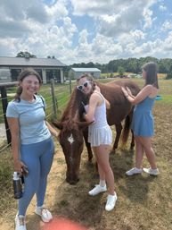 Three friends petting a chestnut horse with a white star in a sunny rural farm field near a barn under a blue sky with fluffy clouds