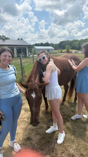 Three friends petting a chestnut horse with a white star in a sunny rural farm field near a barn under a blue sky with fluffy clouds