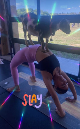 Goat yoga moment: small goat stands on a woman’s back while she holds a bridge pose on a mat inside a bright barn-style studio with glass doors opening to a grassy field and colorful light flares.