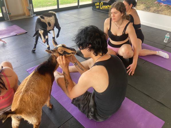 Goat Yoga Group Class on the Farm at Nashville Horse and Goat Yoga + Hat Bar Add-On image 74