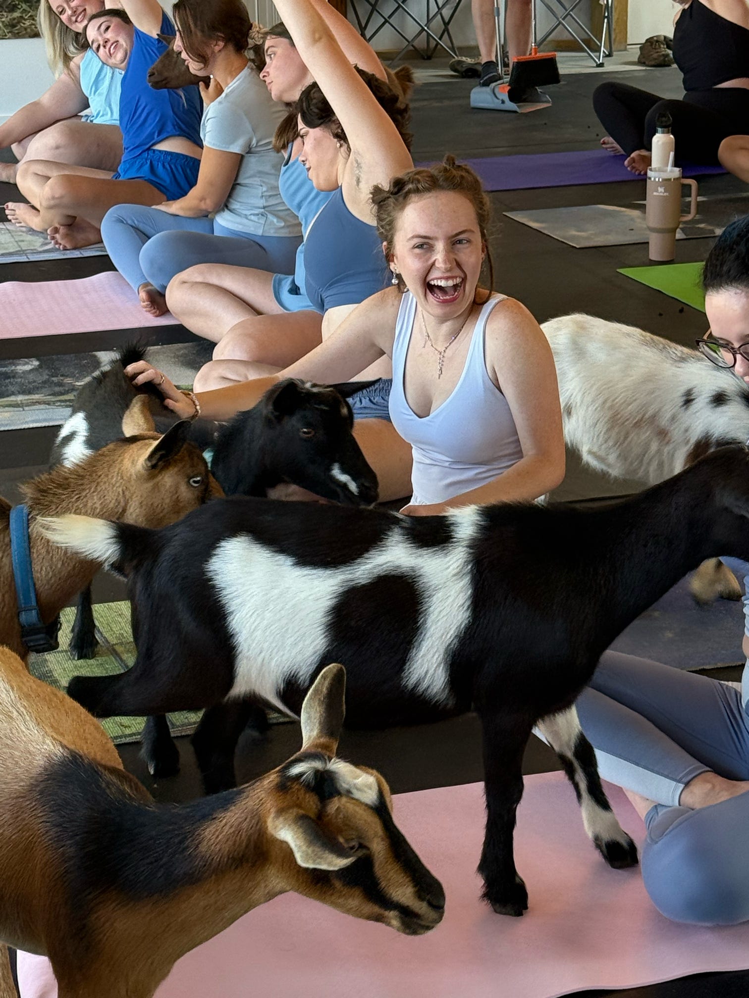 Smiling woman laughing and petting small goats during a lively indoor goat yoga class on colorful yoga mats