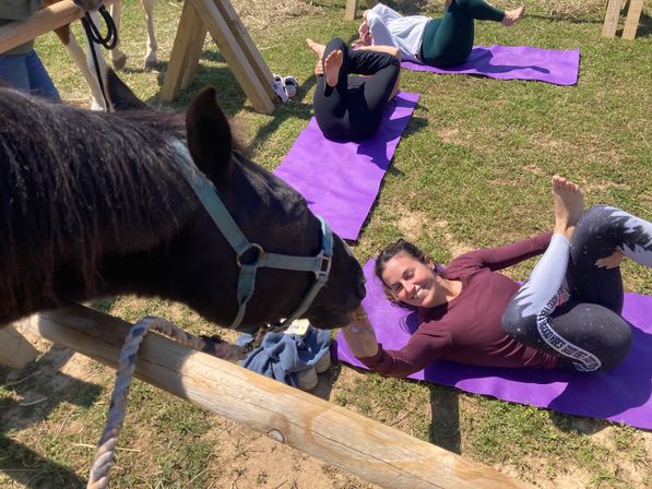Horse Yoga on the Farm with Optional Hat Bar Experience image 33