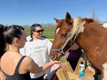 Horse Yoga on the Farm at Nashville Horse and Goat Yoga image 8
