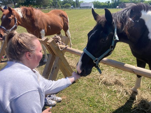 Horse Yoga on the Farm with Optional Hat Bar Experience image 36