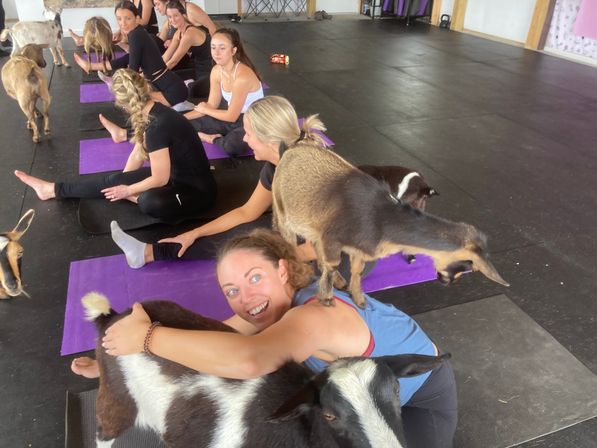 Goat Yoga Group Class on the Farm at Nashville Horse and Goat Yoga + Hat Bar Add-On image 82
