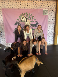 Group of six women in a two-level human pyramid at an indoor goat yoga class, playful pygmy goats and a pink goat-logo backdrop with QR code.