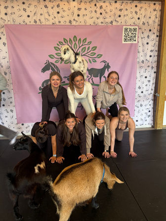 Group of six women in a two-level human pyramid at an indoor goat yoga class, playful pygmy goats and a pink goat-logo backdrop with QR code.