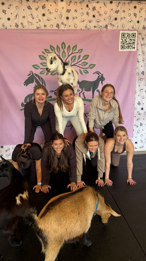 Group of six women in a two-level human pyramid at an indoor goat yoga class, playful pygmy goats and a pink goat-logo backdrop with QR code.