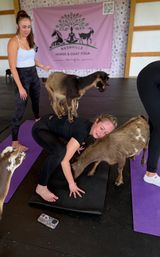 Goat Yoga Group Class on the Farm at Nashville Horse and Goat Yoga + Hat Bar Add-On image 92