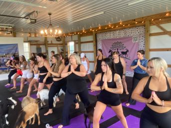 Goat Yoga Group Class on the Farm at Nashville Horse and Goat Yoga + Hat Bar Add-On image 29