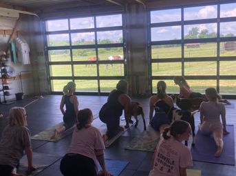 Group yoga class in a barn-style studio doing lunges on mats while playful goats wander among participants, with large glass garage doors opening to a sunny rural pasture where horses graze.