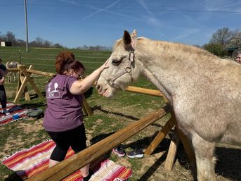 Horse Yoga on the Farm at Nashville Horse and Goat Yoga image 13