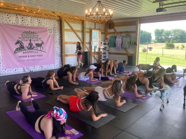 Goat Yoga Group Class on the Farm at Nashville Horse and Goat Yoga + Hat Bar Add-On image 87