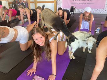 Goat Yoga Group Class on the Farm at Nashville Horse and Goat Yoga + Hat Bar Add-On image 84