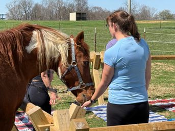 Horse Yoga on the Farm at Nashville Horse and Goat Yoga image 12